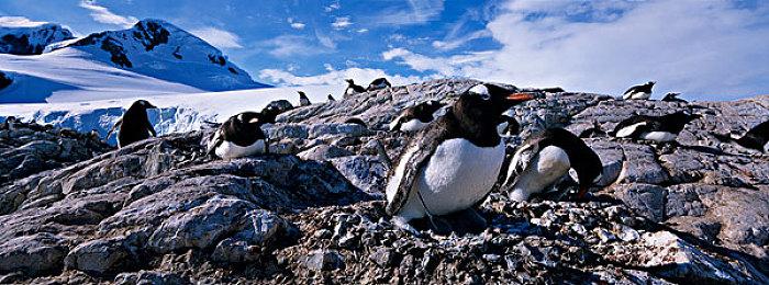 Steam新一周销量榜：《战地6》排名下降仅为第二！