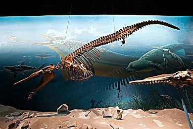 《宝可梦：大集结》新宝可梦“拉普拉斯” 4月13日上线